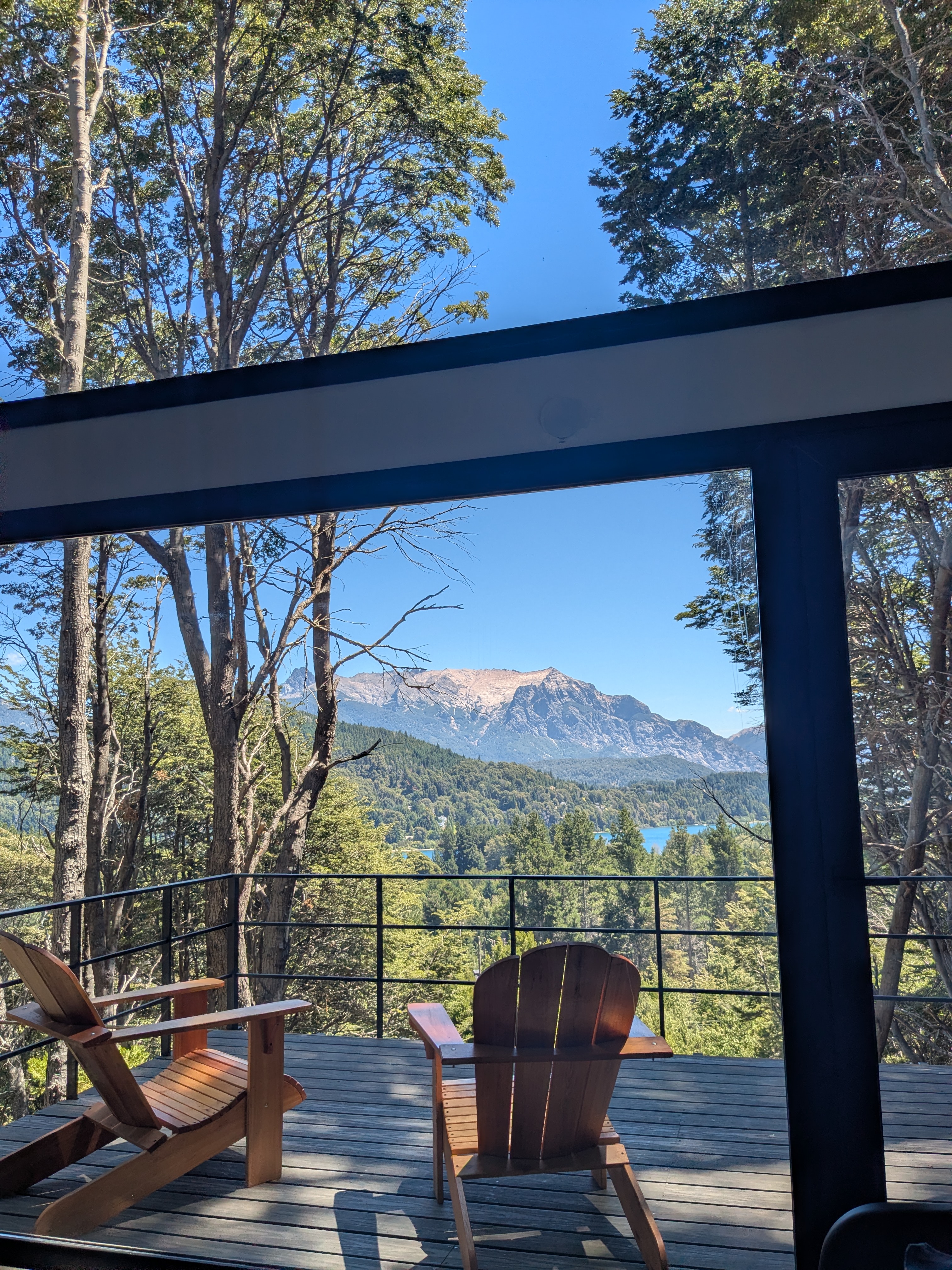 Deck view — lake and mountain through the coihue canopy